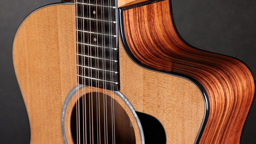 Taylor 254 Ce Plus Guitarra Electroacustica 12 Cuerdas