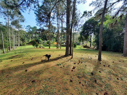 Imagem 14 de 30 de Sítio Em São Lourenço Rico Em Agua