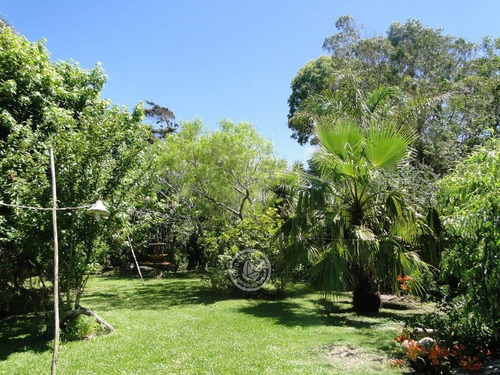 Imagen 7 de 30 de Los Robles En La Coronilla