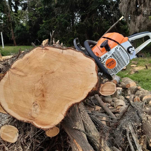 Imagen 1 de 10 de Poda En Altura