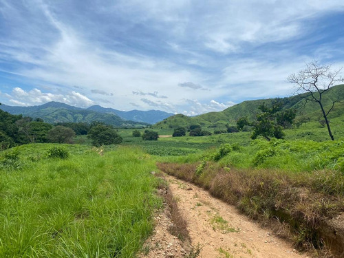 Oportunidad De Inversión En Chiapas: Rancho De 10 Hectáreas Con Documentación Al Día Y Plusvalía En Crecimiento