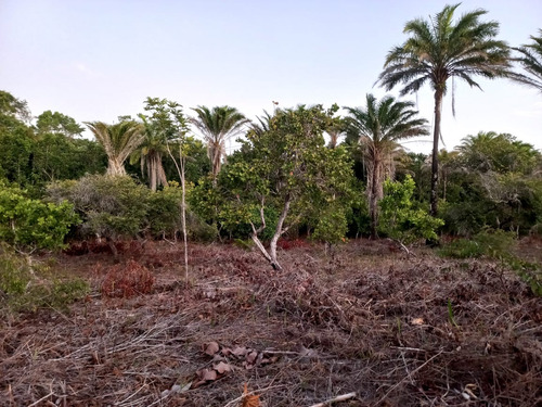 Vende-se Terrenos Em Corumbau Prado Bahia