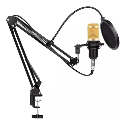 Imagen 1 de 10 de Kit Microfono Condenser Profesional Con Brazo + Filtro Araña