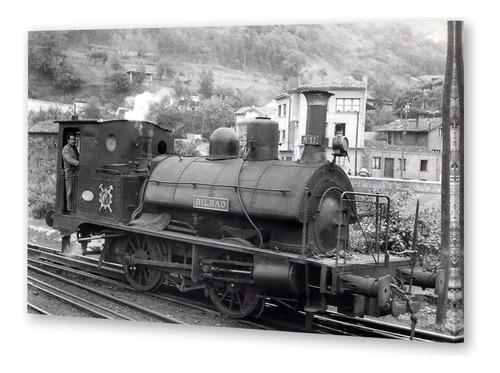 Cuadro 30x45cm Locomotora Trenes Ferrovias Anden Viaje P4