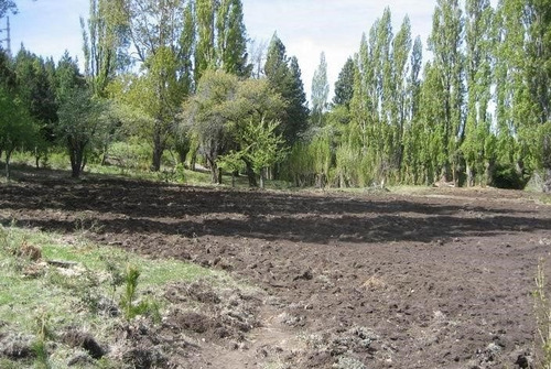Imagen 9 de 22 de Campo Chubut (chacra) - 27 Hectáreas