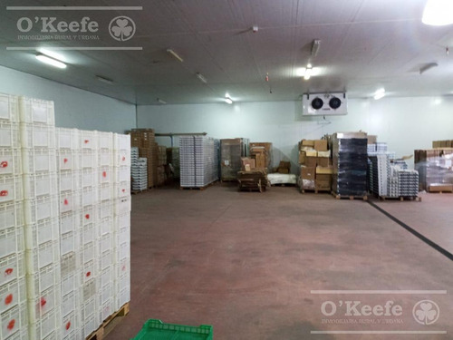 Imagen 25 de 30 de Planta De Acondicionamiento Y Frio En Venta En Concordia Entre Rios - Oportunidad