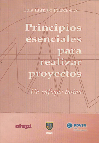 Principios Esenciales Para Realizar Proyectos Enfoque Latino