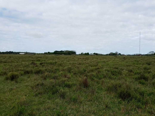 Imagen 5 de 13 de Paraje Pavon Fraccion De 11500 M2