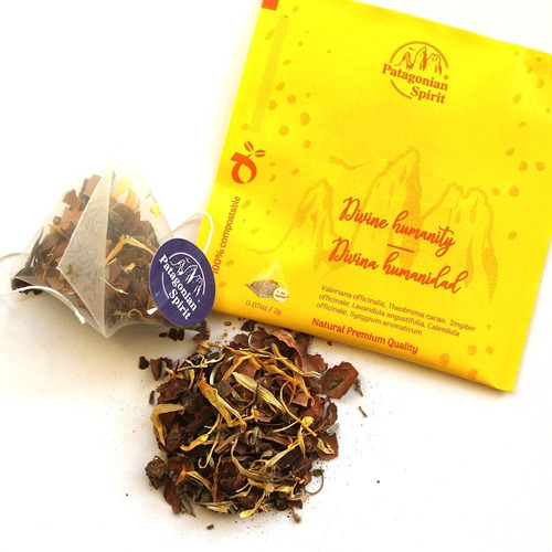 Divina Humanidad Blend Patagonian Spirit Caja 12 Pirámides