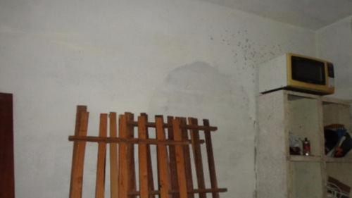 Imagem 8 de 12 de Chácara À Venda Com 2000 M², Em Itanhaém-sp | 2639-pc