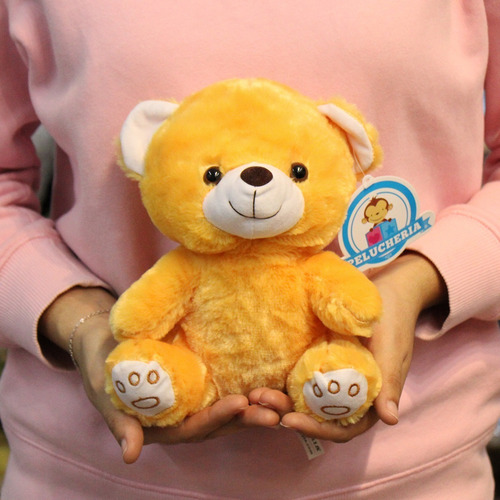 Imagen 3 de 6 de Peluches Mayoreo 12 Pzas Osos Color Café 20 Cm Envío Gratis