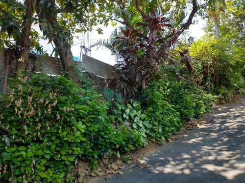 Imagem 15 de 24 de Terreno À Venda, 400 M² Por R$ 850.000,00 - Vila Mazzei - São Paulo/sp - Te0059