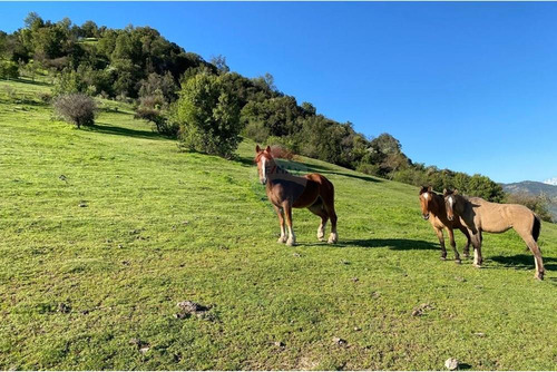 Terreno Con Hermosa Vista