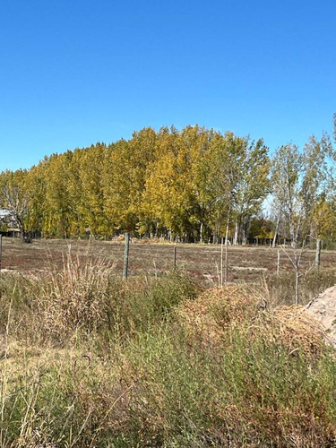 Venta Terreno En San Rafael