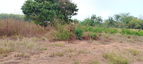 Terreno En Renta De Terreno A Pie De Carretera En Sebastopol Tuxtepec Oaxaca