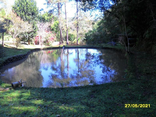 Imagem 6 de 14 de Excelente Chácara Com Piscina E Lagos Cod: 4448