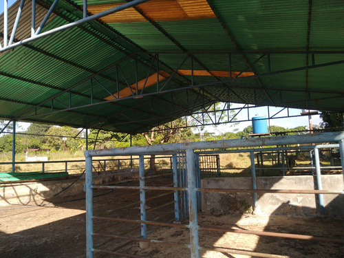Mini Finca De 4 Hectáreas Con Hermosa Casa Campestre Y Espectaculares Áreas Sociales En Urbanización Privada En Venta Gg