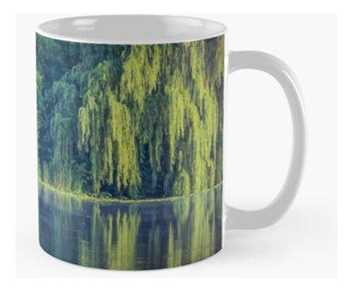 Taza Naturaleza Tranquila Calidad Premium