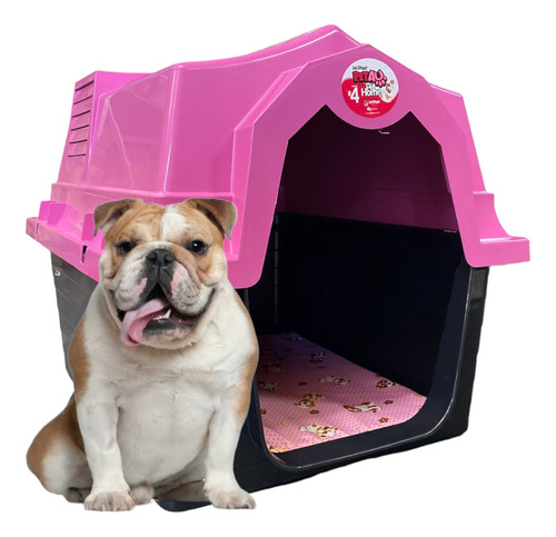 Casinha Plástica Cachorro Colchão Número 4 Cor Rosa Desenho N/a