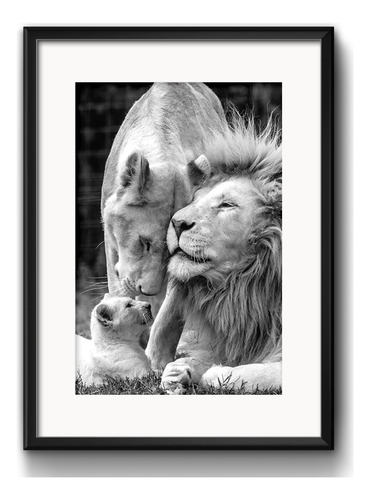 Cuadro Familia De Leones Blanco Y Negro Decoracion Paspartú