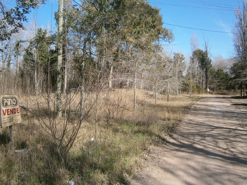 Lote De Terreno