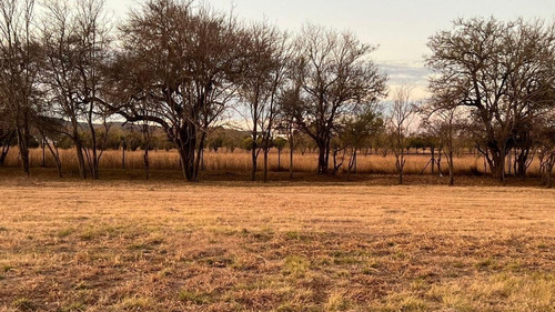Imagen 3 de 10 de Vendo Lote En Valle Del Golf 1000 M²
