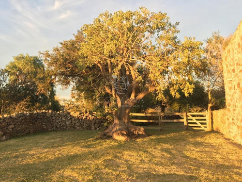 Imagen 3 de 11 de Chacra En Sierra De Los Caracoles - Zona Rural - Pueblo Eden