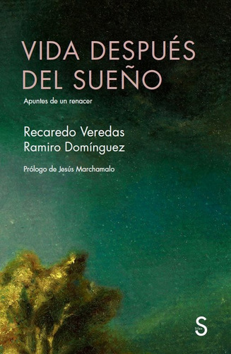 Vida Despues Del Sueãâo, De Verdas, Recadero. Editorial Silex Ediciones, S.l., Tapa Blanda En Español