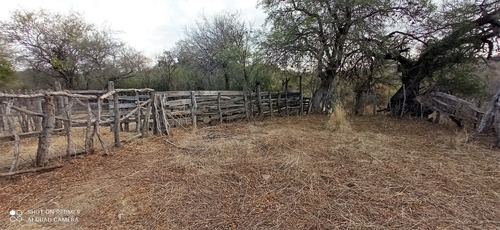 Imagen 4 de 21 de C07 119 Has De Campo Ganadero En San Carlos Mina