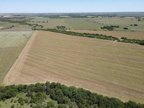 Campo En Venta 25 Has Agrícolas En Talita -larroque, Entre Ríos.