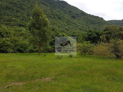 Imagem 13 de 20 de Terreno A Venda No Bairro Ingleses Do Rio Vermelho Em - 4332-1