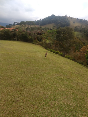 Belíssima Propriedade Em Visconde De Mauá