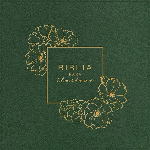 Biblia Para Ilustrar Rvr-1960 Imitación Piel Verde