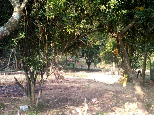 Imagem 13 de 20 de Chácara À Venda Em Mairiporã Sp - 0142 - 34968636