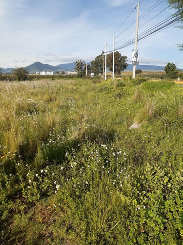 Imagen 8 de 8 de Terreno - Calimaya