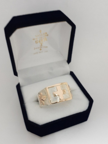 Anillo Profesión Enfermero Plata Y Oro