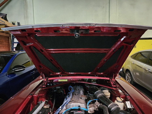 Renault Torino