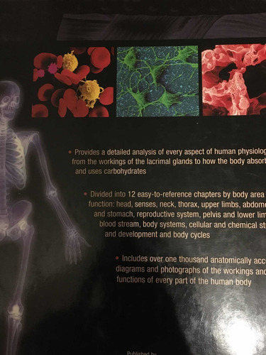 Libro El Cuerpo Humano Inglés - Atlas De Anatomía (Usado)