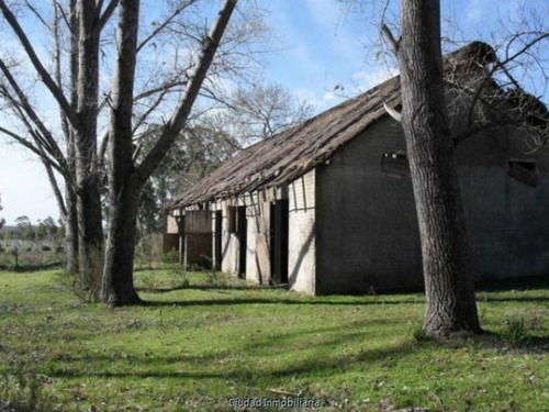 Campo Ganadero Cuchilla Alta, Excelente Ubicación