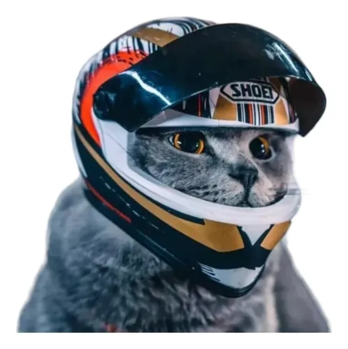 Casco para gatos moto sale