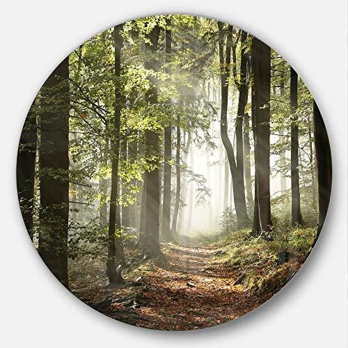 Designart Green Fall Forest With Sun Rays-landscape Photo Me