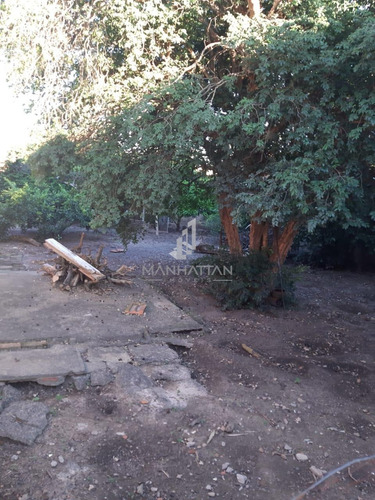 Imagem 11 de 12 de Casa À Venda Em Jardim América - Ca005752