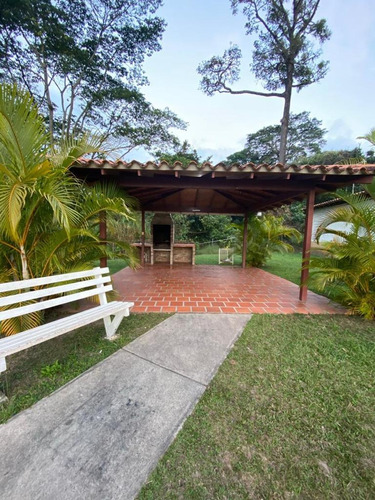 Imagen 6 de 13 de Apartamento En Alquiler Vista Real