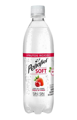 12 Agua Mineral Frutos Rojos Peñafiel Soft Seltzer