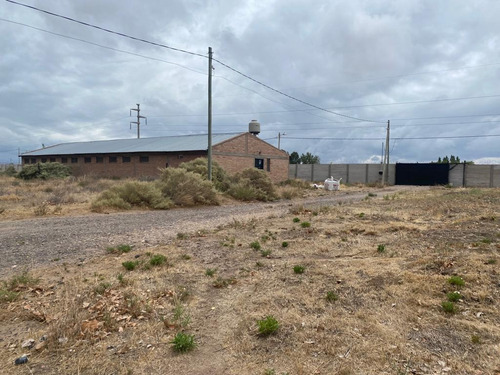 Imagen 4 de 15 de Chacra En Alquiler - Galpón - Ciudad Industrial - Neuquén