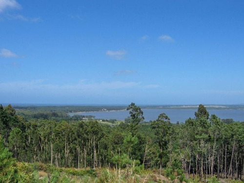 Chacra En Punta Ballena, Maldonado