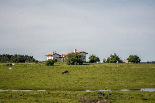 Quinta En Venta En Pueblo Eden