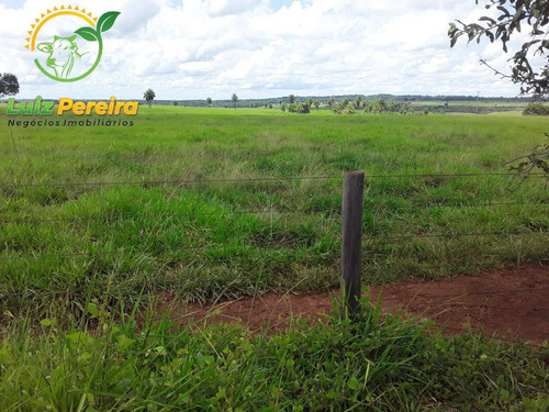 Imagem 5 de 12 de Fazenda À Venda Em Conceição Do Araguaia -pa-4.854.52 Hec. (d. Aptidão) - 2091