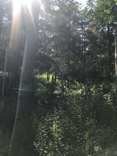 Imagen 4 de 7 de Venta Terreno Xochimilco Para Inversionistas