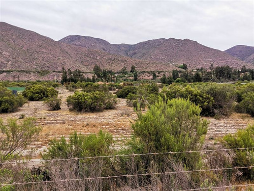 Terreno En Venta En Vicuña, Sector El Molle.